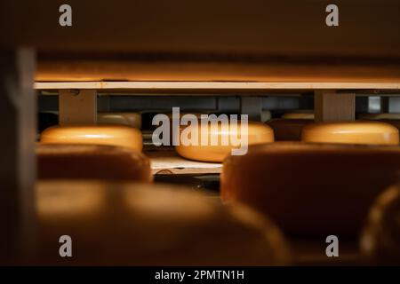 Käseräder auf Holzregalen im Lager, Blick durch die Reihen. Hartkäse in einem kalten und dunklen Keller. In der Milchfabrik aufbewahren. Milchfabrik. Essen Stockfoto