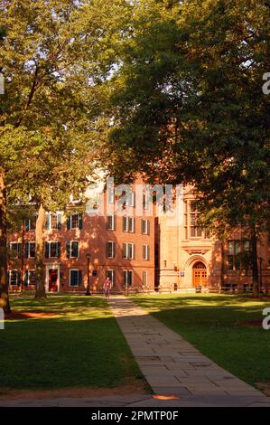 Ein Pfad führt über den Yale University Campus in New Haven, Connecticut, zum historischen Connecticut House auf dem Grün Stockfoto