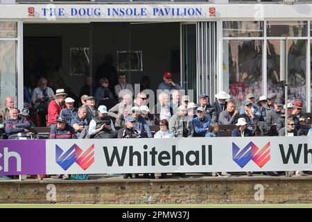 Die Zuschauer sehen vom Pavillon während der Essex CCC vs. Lancashire CCC, LV Insurance County Championship Division 1 Cricket im Cloud County Groun Stockfoto