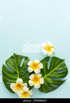 Sommerhintergrund mit tropischen Frangipani-Blumen und grünen tropischen Palmenblättern auf hellem Hintergrund. Flach liegend, Draufsicht. Stockfoto