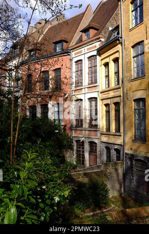 La Treille, Lille Stockfoto