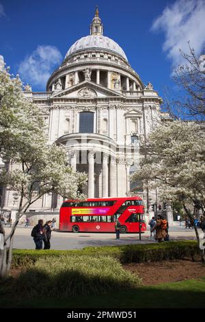 London Bus vorbei an der St Pauls Cathedral Stockfoto