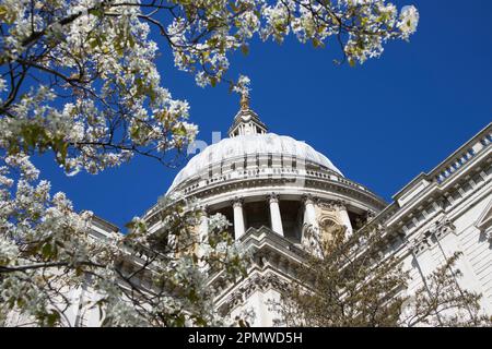 Großbritannien, London - St Paul's Cathedral Stockfoto