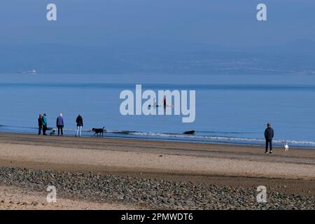 Edinburgh, Schottland, Großbritannien. 15. April 2023 Einige Aktivitäten am frühen Morgen am Strand von Portobello mit Menschen, die den milden Start in den Tag mit blauem Himmel und Sonnenschein genießen. Leute am Strand und Paddelfahrer in der Flussmündung. Blick in Richtung Dalgety Bay Fife. Kredit: Craig Brown/Alamy Live News Stockfoto