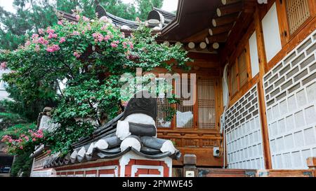 Hanok ist ein traditionelles Haus in Südkorea. Das Dorf Bukchon Hanok ist eines der berühmten Hanok-Dörfer in Seoul, Südkorea Stockfoto