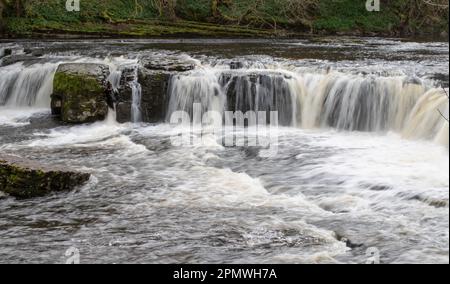 stromschnellen an den Aysgarth Falls in den Yorkshire Dales Stockfoto