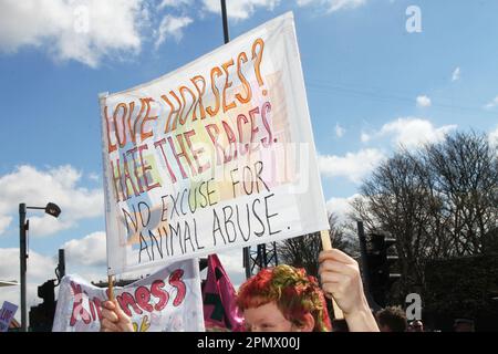 Animal Rising Action for Animals Protestgruppe, die den Grand National stört. Tierschützer in Liverpool, Merseyside, Großbritannien. April 2023. Grand National Meeting Aintree Demonstrationen und Opposition am Haupteingang der Aintree Racecourse. Stockfoto
