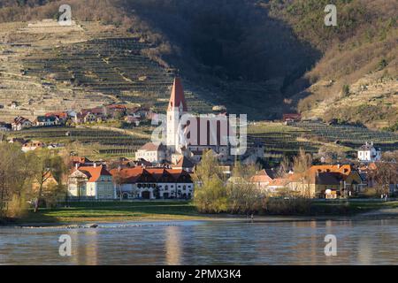 Weissenkirchen an einem sonnigen Frühlingsabend in der Wachau an der Donau in Osterreich Stockfoto
