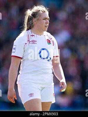 Mackenzie Carson of England Women während des TikTok Women's Six Nations Match Wales vs England im BT Cardiff Arms Park, Cardiff, Vereinigtes Königreich, 15. April 2023 (Foto: Nick Browning/News Images) Stockfoto