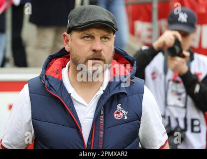 Köln, Deutschland. 15. April 2023. firo : 04/15/2023, Fußball, 1.Bundesliga: 1.FC Köln - FSV Mainz FC Coach Portrait : Steffen Baumgart mit Kredit: dpa/Alamy Live News Stockfoto