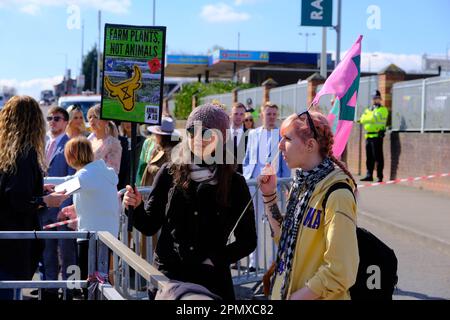 Aintree, Liverpool, Großbritannien. 15. April 2023. Animal Rising Demonstranten mit Plakaten führen einen friedlichen Protest vor dem Haupteingang der Rennbahn gegen das Rennen des Grand National durch und planen, das Rennen zu stoppen. Kredit: Mark Lear / Alamy Live News Stockfoto