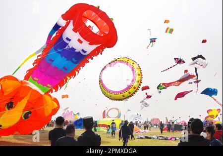 Weifang, Chinas Provinz Shandong. 15. April 2023. Besucher nehmen am 40. Weifang International Kite Festival in Weifang, Ostchina-Provinz Shandong, am 15. April 2023 Teil. Der Drachenflug-Wettbewerb des Weifang International Dite Festival 40. begann hier am Samstag. Kredit: Li Ziheng/Xinhua/Alamy Live News Stockfoto