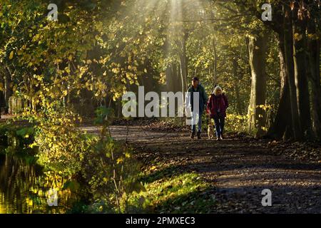 Ein Mann und eine Frau gehen mit ihrem Hund, umgeben von grünen Bäumen, am Leeds und Liverpool Canal in Shipley, Yorkshire, Großbritannien entlang. Stockfoto