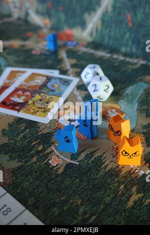 Komponenten aus dem Brettspiel „Root the Board“ von Leder Games Stockfoto