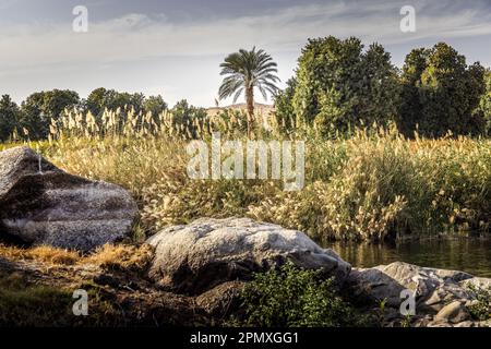 Landschaft am Nilufer in Südogypten Stockfoto