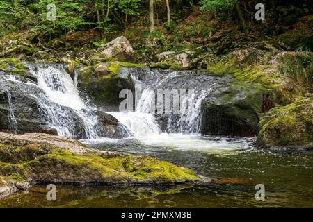 Klares Wasser fließt über moosbedeckte Felsen Stockfoto