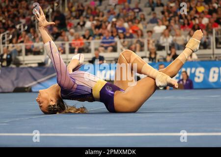 13. April 2023: Alyona Schennikova (LSU) beim Halbfinale 1 der NCAA National Collegiate Women's Gymnastics Championships 2023 in der Dickies Arena in Fort Worth, Texas. Melissa J. Perenson/Cal Sport Media(Kreditbild: © Melissa J. Perenson/Cal Sport Media) Stockfoto