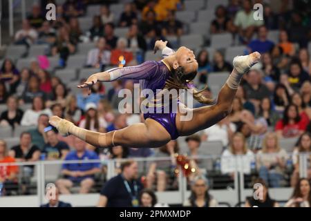 13. April 2023: Alyona Schennikova (LSU) beim Halbfinale 1 der NCAA National Collegiate Women's Gymnastics Championships 2023 in der Dickies Arena in Fort Worth, Texas. Melissa J. Perenson/Cal Sport Media(Kreditbild: © Melissa J. Perenson/Cal Sport Media) Stockfoto