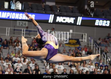 13. April 2023: Aleah Finnegan (LSU) beim Halbfinale 1 der NCAA National Collegiate Women's Gymnastics Championships 2023 in der Dickies Arena in Fort Worth, Texas. Melissa J. Perenson/Cal Sport Media(Kreditbild: © Melissa J. Perenson/Cal Sport Media) Stockfoto