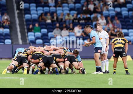 Jake Gordon von den Waratahs bereitet sich darauf vor, den Ball während des Super Rugby Pacific-Spiels zwischen den Waratahs und der Western Force im Allianz Stadium am 15. April 2023 in Sydney, Australien, zu füttern. Kredit: IOIO IMAGES/Alamy Live News Stockfoto