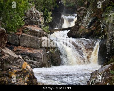 Devils Kettle Falls im Norden von Minnesota Stockfoto