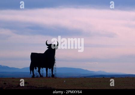 TORO DE OSBORNE TIPICO DEL PAISAJE ESPAÑOL - FOTO AÑOS 90 -. Lage: AUSSEN. PROVINZ. SEGOVIA. SPANIEN. Stockfoto