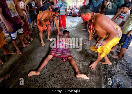 Kalyani, Indien. 14. April 2023. Hindu-Anhänger haben während des Charak Puja Festivals in einem Dorf in der Nähe von Kalyani traditionelle Rituale beobachtet. Das Charak Festival ist eines der ältesten Volksfestivals, bei dem Anhänger ihren Glauben zeigen, indem sie sich selbst Schmerz zufügen, in dem Glauben, dass Lord Shiva ihnen helfen wird, Probleme in ihrem täglichen Leben zu überwinden. Kredit: SOPA Images Limited/Alamy Live News Stockfoto