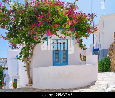 Sommer in Paros bedeutet kykladisch weiß und griechisch blau! Stockfoto