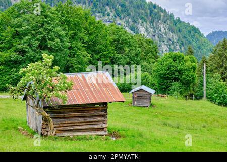 Kleiner Bergstall als Weidetierheim in einer Berglandschaft in den Allgaeu-Alpen bei Oberstdorf in Bayern. Stockfoto