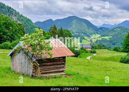 Kleiner Bergstall als Weidetierheim in einer Berglandschaft in den Allgaeu-Alpen bei Oberstdorf in Bayern. Stockfoto