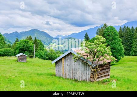 Kleiner Bergstall als Weidetierheim in einer Berglandschaft in den Allgaeu-Alpen bei Oberstdorf in Bayern. Stockfoto