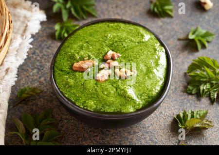 Eine Schüssel Reen-Pesto aus frischen jungen Goutweed- oder gemahlenen Altenblättern im Frühling. Wilde essbare Pflanze. Stockfoto