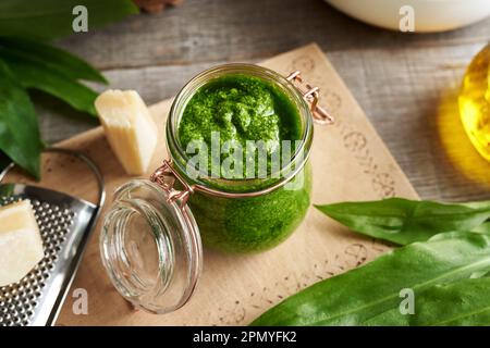 Hausgemachte grüne Pesto-Sauce aus frischen Knoblauchblättern des Bären - im Frühjahr wächst eine wilde essbare Pflanze Stockfoto