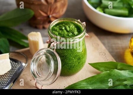 Ein Glas hausgemachtes grünes Pesto aus frischen Knoblauchblättern, die im Frühjahr gesammelt wurden Stockfoto