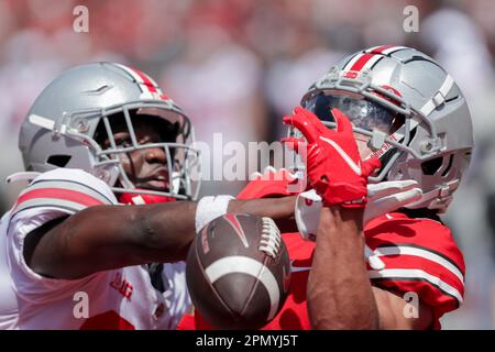 Columbus, Ohio, USA. 15. April 2023. Der Ohio State Buckeyes Wide Receiver Jordan Hancock (7) kann während des Frühlingsspiels zwischen Ohio State Buckeyes Scarlet und Gray im Ohio Stadium, Columbus, Ohio, keinen Pass mitbringen. (Kreditbild: © Scott Stuart/ZUMA Press Wire) NUR REDAKTIONELLE VERWENDUNG! Nicht für den kommerziellen GEBRAUCH! Kredit: ZUMA Press, Inc./Alamy Live News Kredit: ZUMA Press, Inc./Alamy Live News Stockfoto