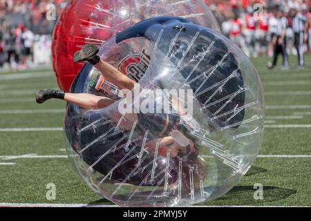 Columbus, Ohio, USA. 15. April 2023. Die Fans haben Knocker-Ball-Rennen während einer Auszeit im Frühlingsspiel zwischen den Ohio State Buckeyes Scarlet und Gray im Ohio Stadium, Columbus, Ohio, absolviert. (Kreditbild: © Scott Stuart/ZUMA Press Wire) NUR REDAKTIONELLE VERWENDUNG! Nicht für den kommerziellen GEBRAUCH! Kredit: ZUMA Press, Inc./Alamy Live News Kredit: ZUMA Press, Inc./Alamy Live News Stockfoto