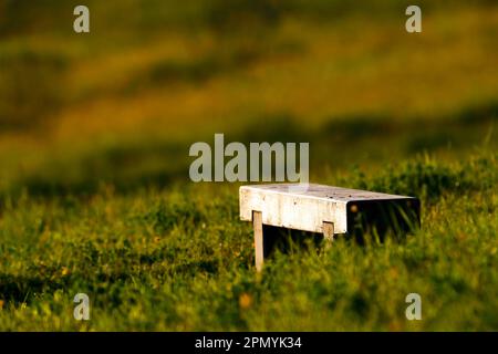 Eine Bank an einem Hang in St. Aidans RSPB, Great Preston, West Yorkshire Stockfoto