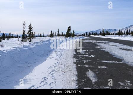Die schneebedeckte Straße führt zum Berg in der Ferne. Kiefern sind auf beiden Seiten. Stockfoto