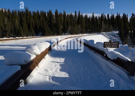 Ausgeheilter Pfad auf dem schneebedeckten Feld mit Kiefern auf beiden Seiten. Stockfoto