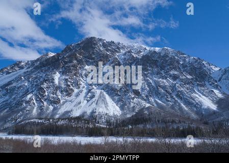 Schneebedeckte Berge mit blauen, weißen Wolken im Hintergrund, trockener Busch im Vordergrund. Stockfoto