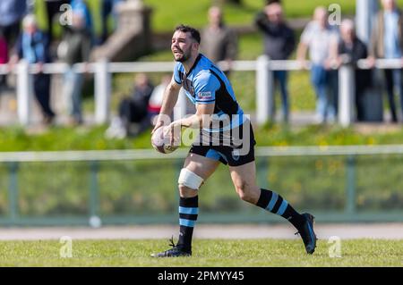 15. April 2023; Carmarthen Park, Carmarthen, Wales: Indigo Premiership Rugby, Carmarthen Quins versus Cardiff; Cardiff's scrum Half Tom Habberfield (9) in Aktion. Kredit: Action Plus Sports Images/Alamy Live News Stockfoto