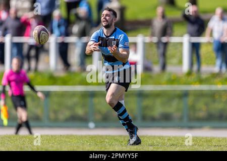 15. April 2023; Carmarthen Park, Carmarthen, Wales: Indigo Premiership Rugby, Carmarthen Quins versus Cardiff; Cardiff's scrum Half Tom Habberfield (9) in Aktion. Kredit: Action Plus Sports Images/Alamy Live News Stockfoto