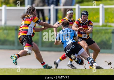 15. April 2023; Carmarthen Park, Carmarthen, Wales: Indigo Premiership Rugby, Carmarthen Quins versus Cardiff; Cardiff's Outside Half Harrison James (10) in Aktion. Kredit: Action Plus Sports Images/Alamy Live News Stockfoto