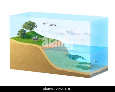 Detailliertes Diagramm der Erdbiosphäre. Digitale Illustration, 3D-Rendering. Stockfoto