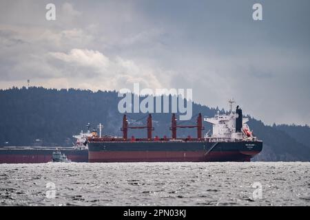 ULTRAMAX-Massengutfrachter Belisland und ein anderes Frachtschiff, das in der Departure Bay nahe Gabriola Island vor Anker liegt, das Militärschiff Stikine verkehrt zwischen ihnen Stockfoto