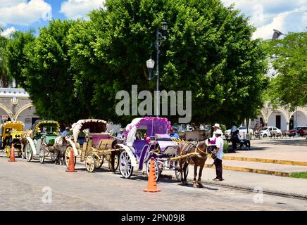 Die farbenfrohen Schlauchwagen am Marktplatz in der gelben Stadt Izamal, Yucatan, Mexiko. Stockfoto