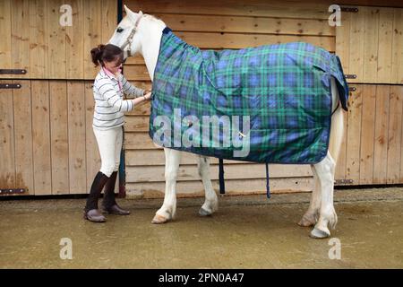 Walisisches Pony, mit Teppich für Mädchenbesitzer, Ställe im Freien, Powys, Wales, Großbritannien Stockfoto