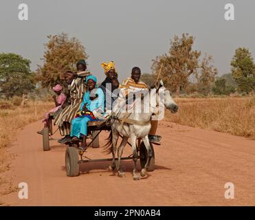 Die senegalesische Familie reitet mit dem Pferdewagen zum nahegelegenen Markt in der Nähe von Toubacouta, Senegal Stockfoto