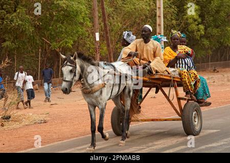 Die senegalesische Familie reitet Pferdewagen, Kaolack, Senegal Stockfoto