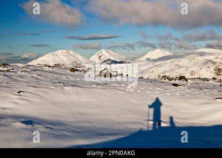 Schatten von Mensch und Hund, die auf schneebedeckte Berggipfel schauen, gesehen von Dubh Bheinn, Paps von Jura, Insel Jura, innere Hebriden, Schottland, Vereint Stockfoto